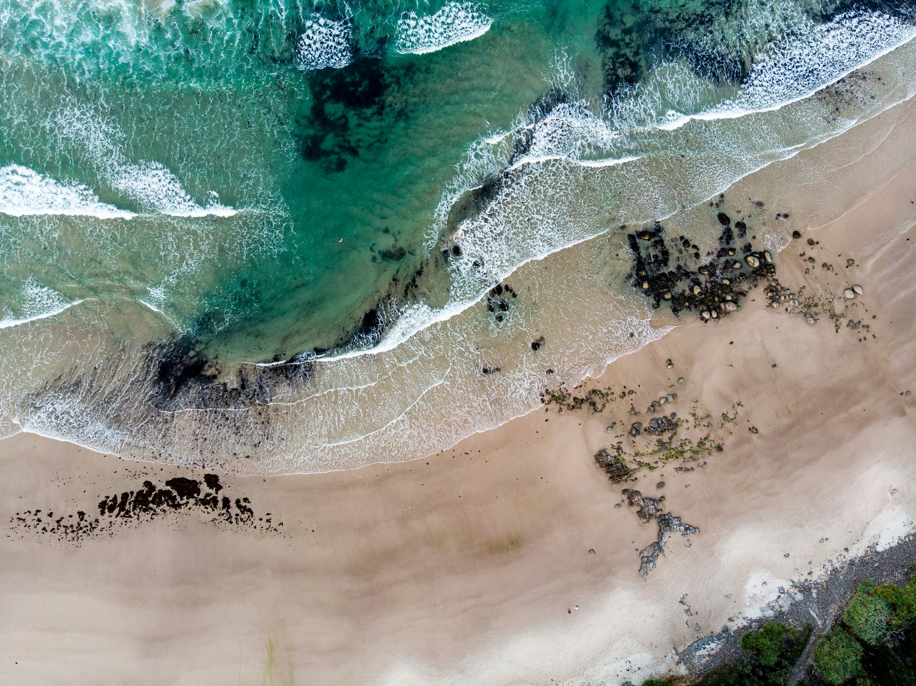 Aerial view of a beach and foreshore with palm trees